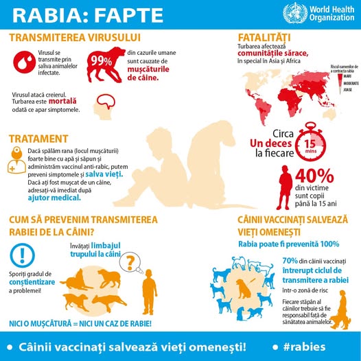 RABIA ÎN PRACTICA VETERINARĂ: PREVENIRE, CONTROL ȘI RESPONSABILITĂȚI